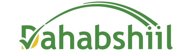 Dahabshiil